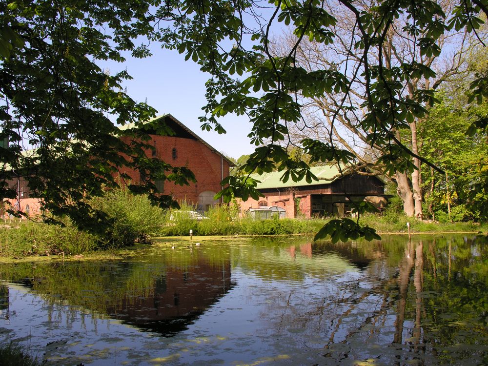 Gut Birkenmoor – Bild 2