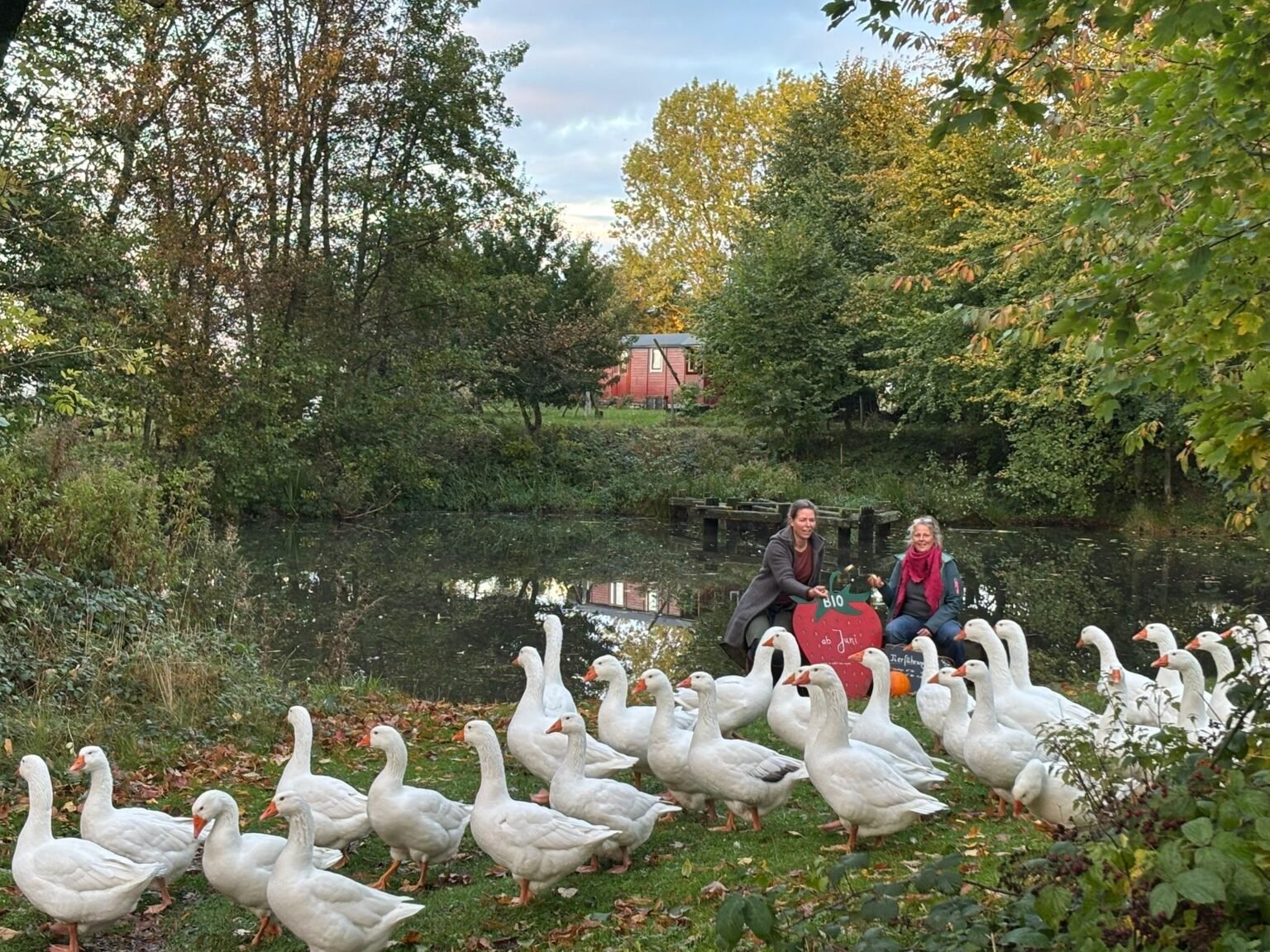 Gut Birkenmoor – Bild 4