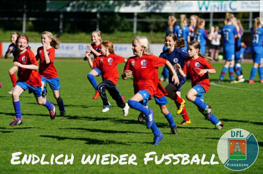 VfL Pinneberg – Bild 2