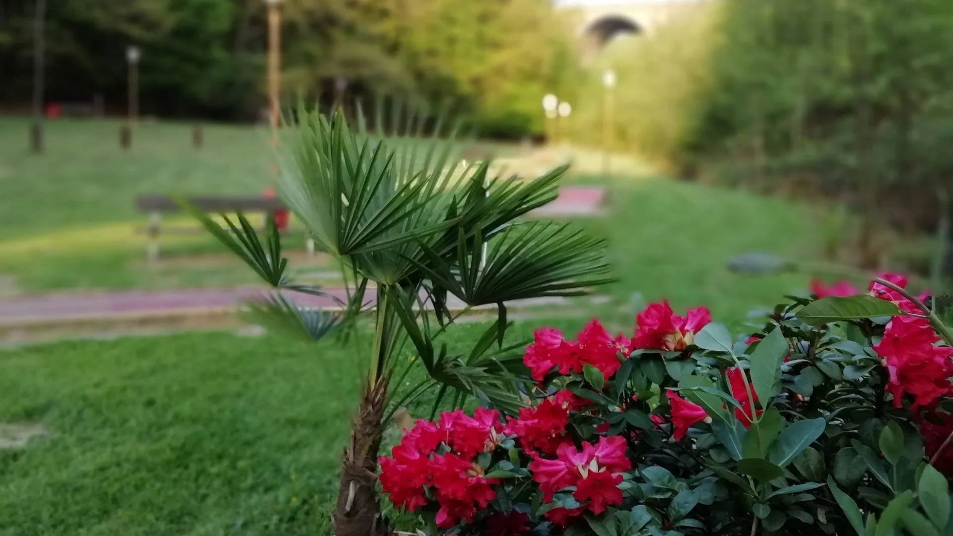 Sterngolf Diepmannsbach – Bild 5