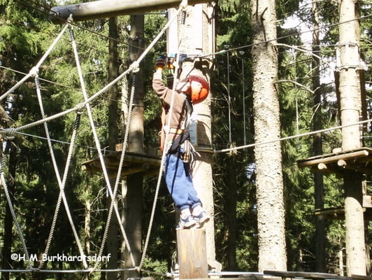 Erlebniskletterwald Greifensteine – Bild 5