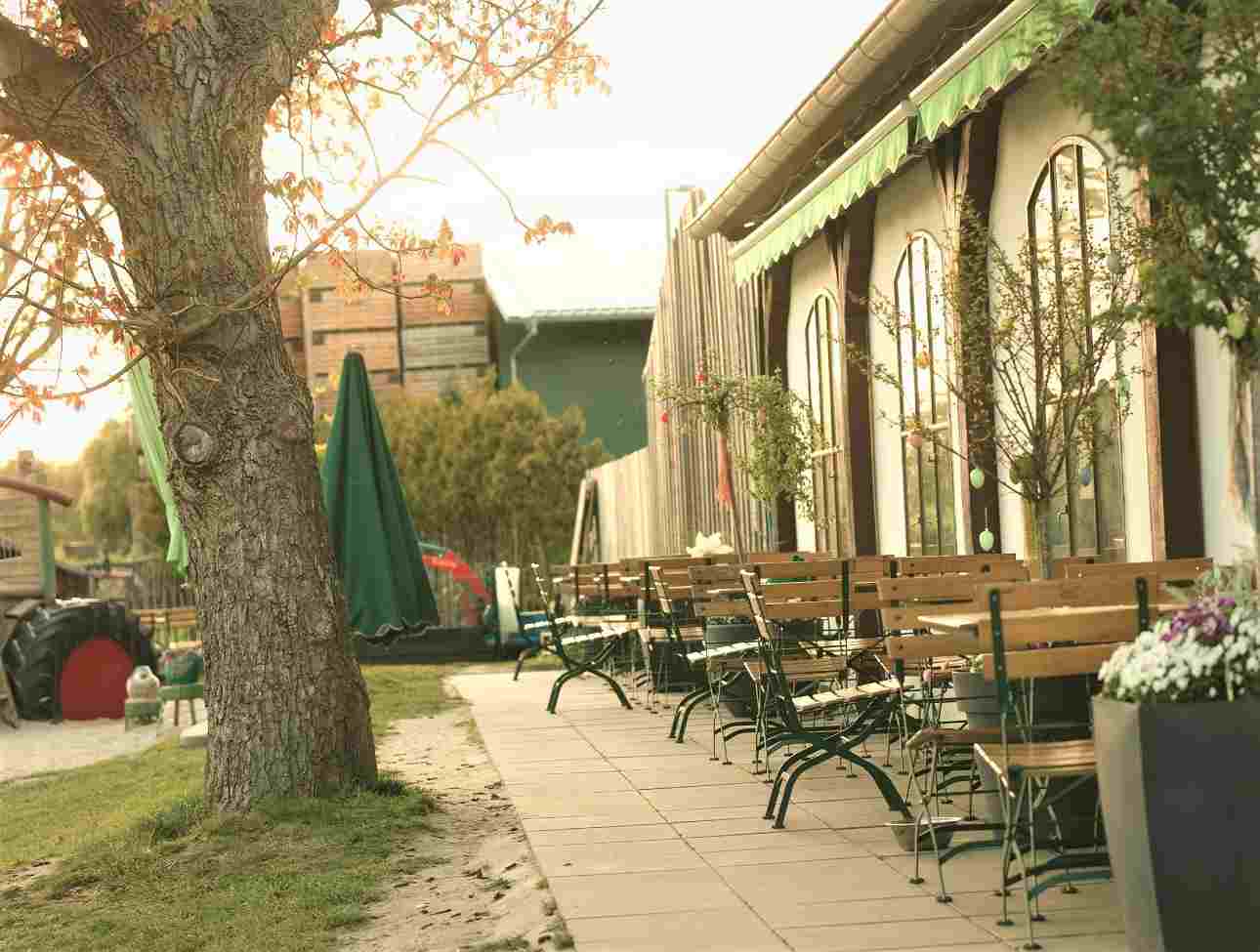 Kochs in Liethe - Hofladen und Erlebnishof – Bild 4