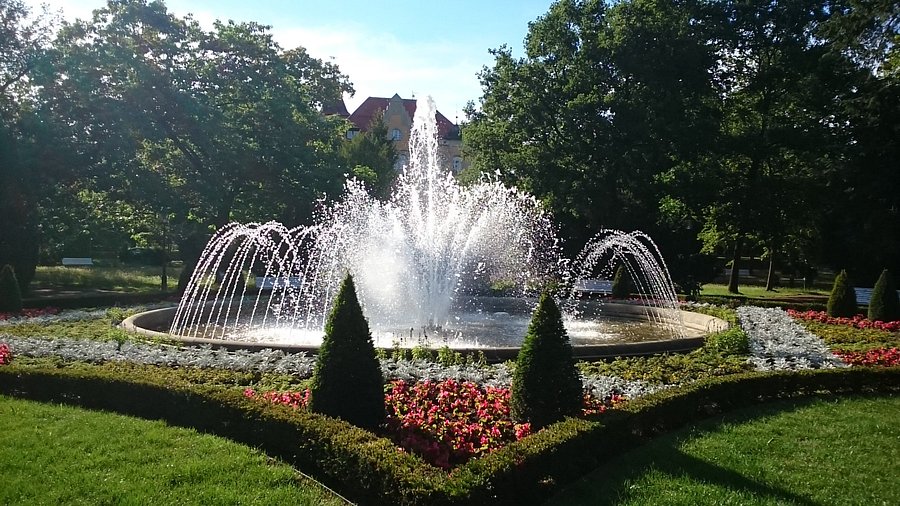 Albertpark Freiberg – Bild 1