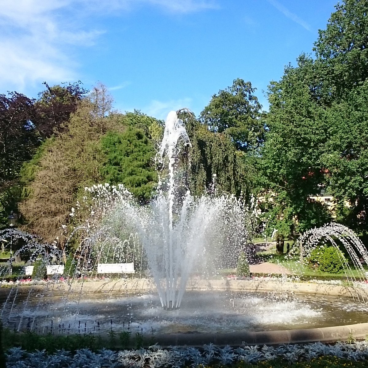 Albertpark Freiberg – Bild 5