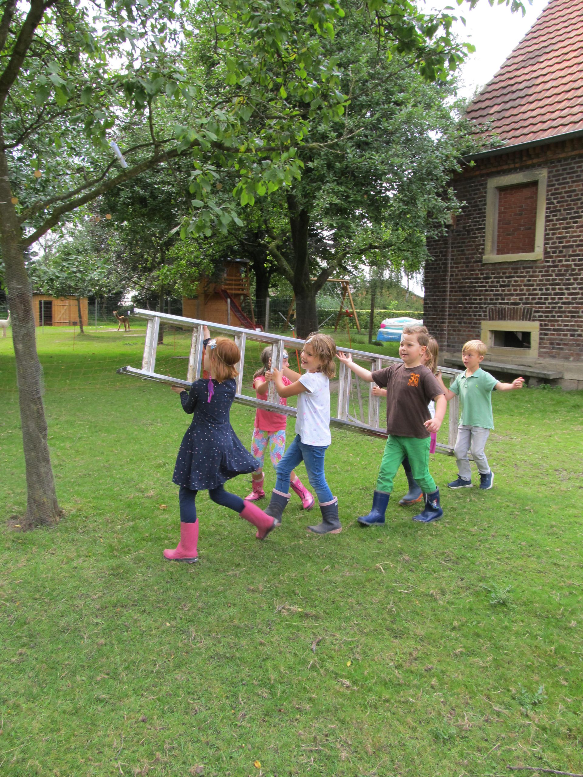 Hof Schriever – Bild 3