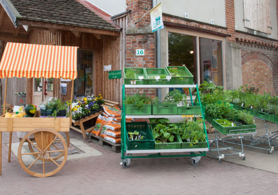 Biohof Medewege – Bild 2