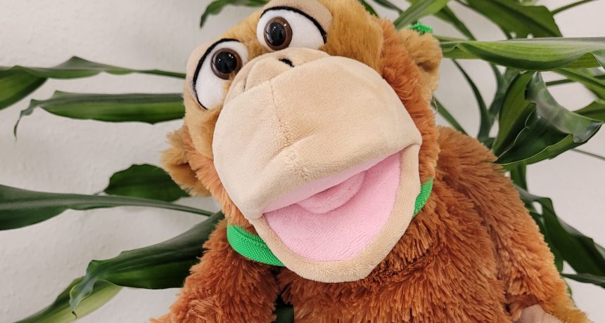 Ökumenische Kindertageseinrichtung Wehofen – Bild 5