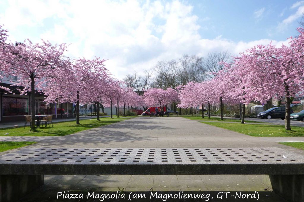 Park am Magnolienweg – Bild 1
