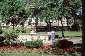 Waverley Park – Bild 4