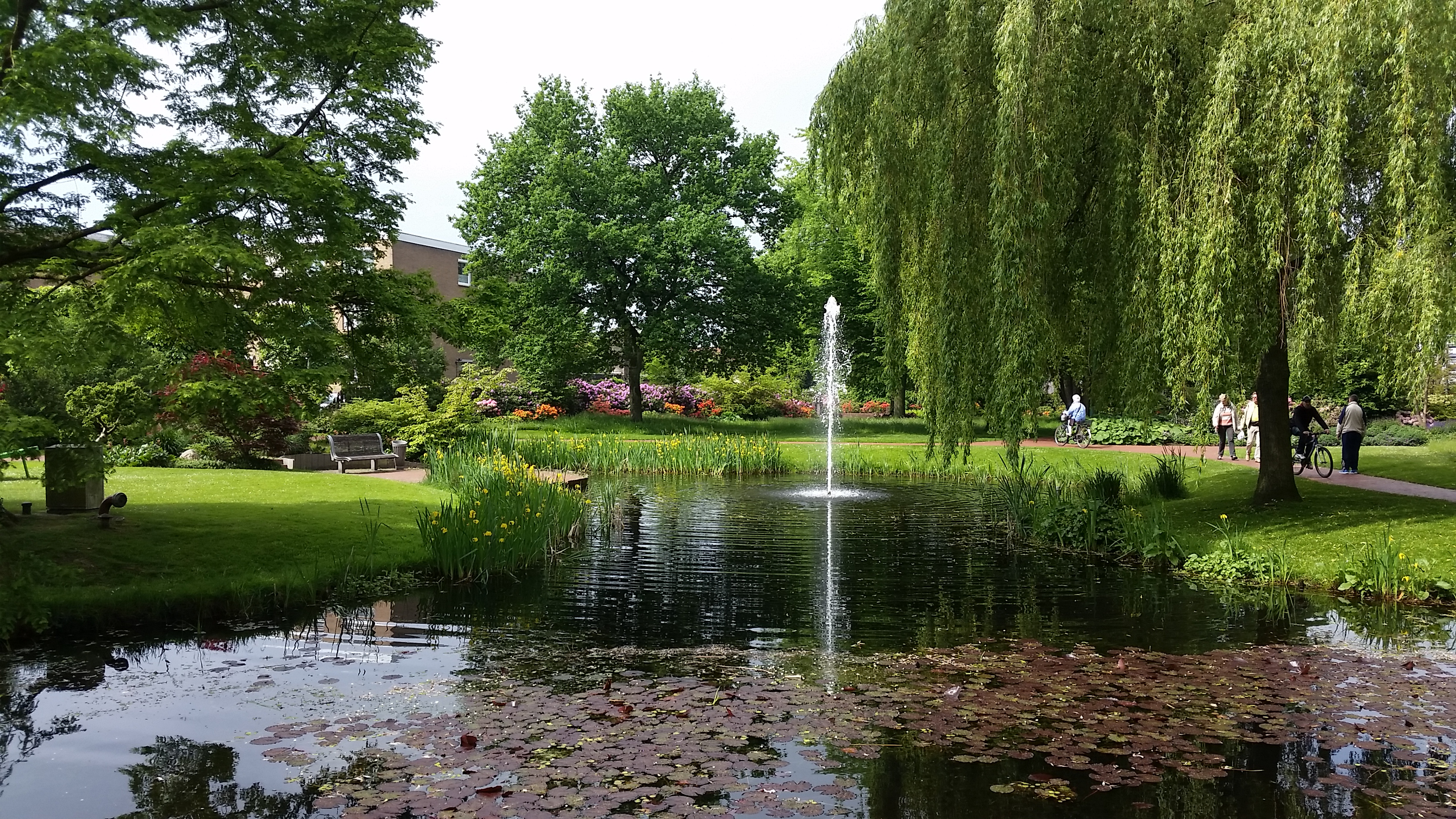 Stadtpark Thalenweide Westerstede – Bild 4