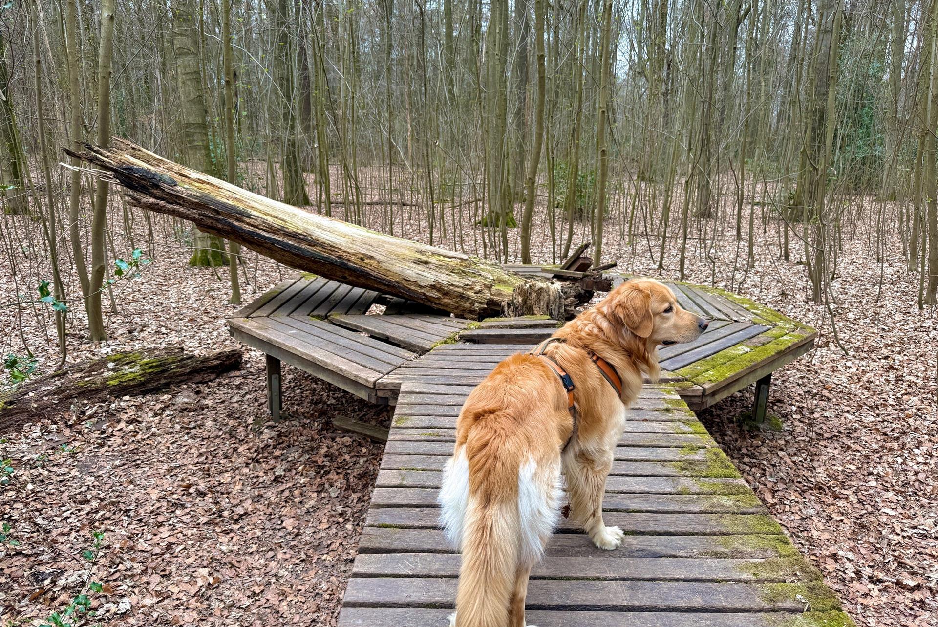 Naturerlebnispfad Schwerte – Bild 4