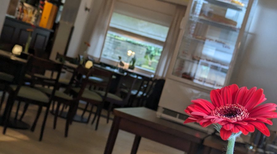 Zum Sonnengruss – Bild 2