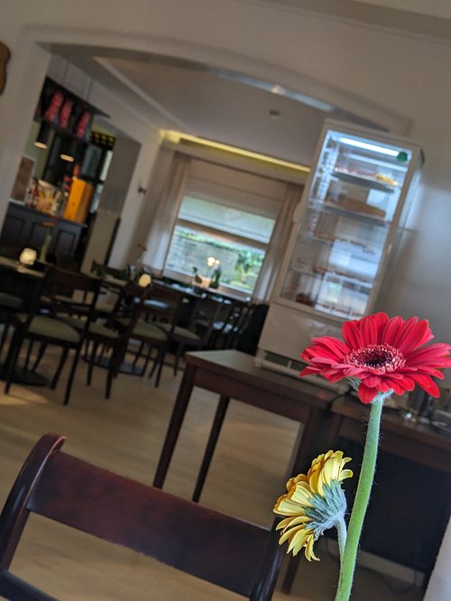 Zum Sonnengruss – Bild 5