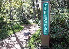 Marlboro Park – Bild 5