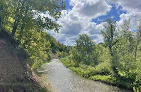 Neyagawa Park – Bild 3