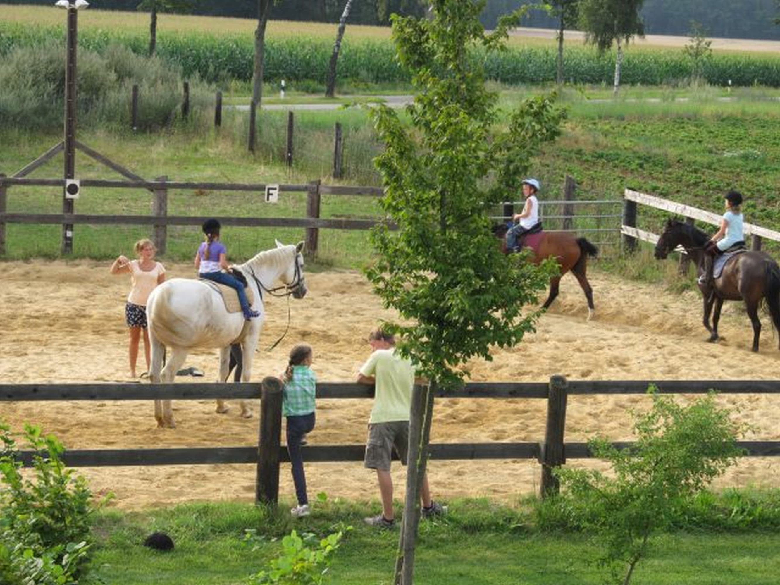 Ferienhof Stegen - Daniel Stegen – Bild 6