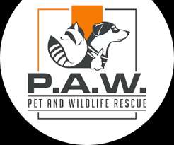 Pet and Wildlife Rescue – Bild 2