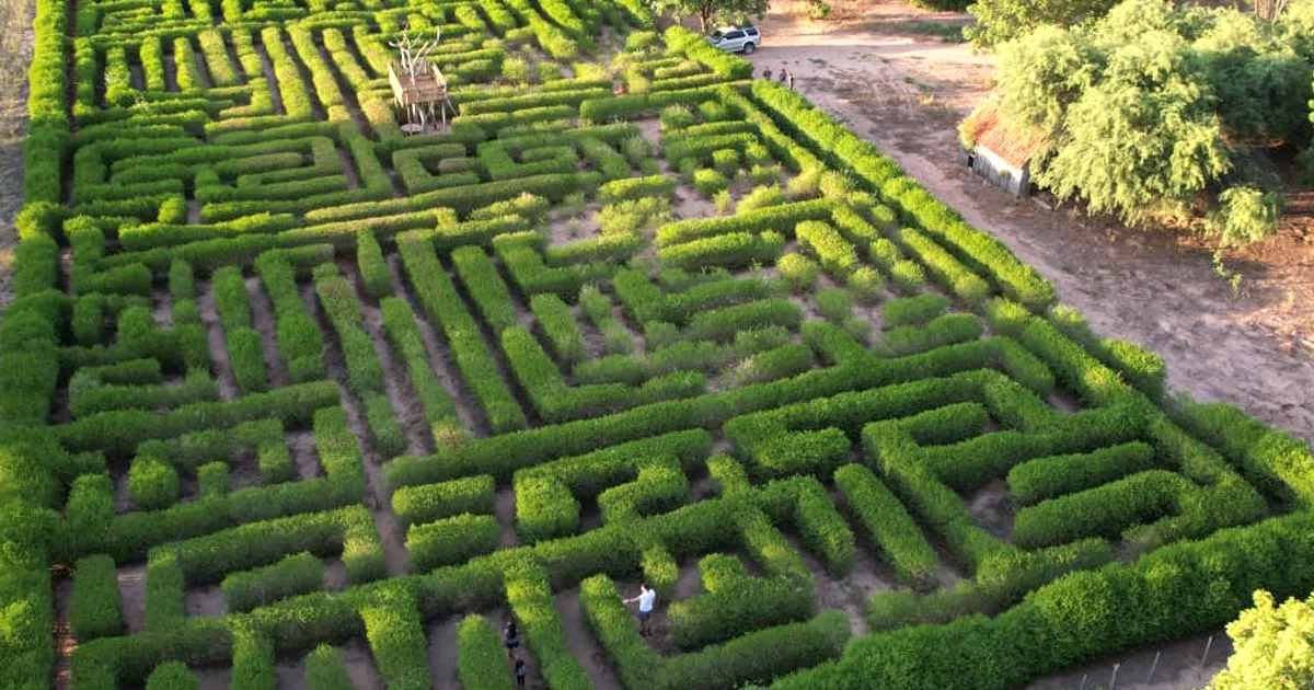 Rotenmoos Labyrinth – Bild 5