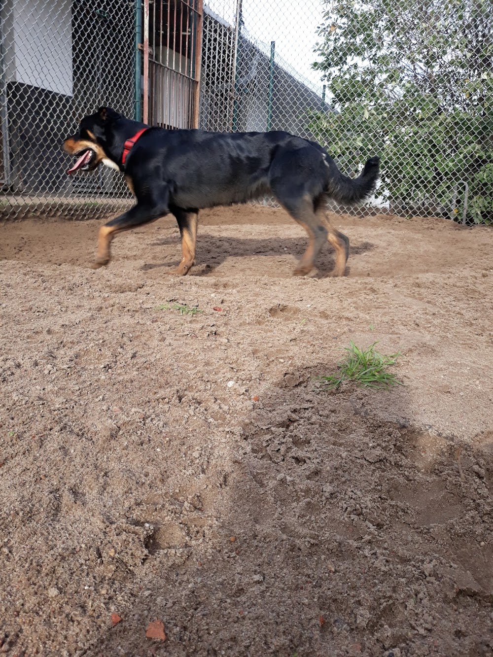 Kinder-Kletterspaß Borstel – Bild 3