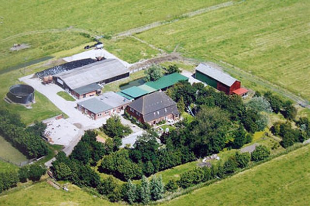 Kantorhof - Anita Kröger – Bild 1