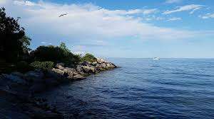 Jack Darling Memorial Park – Bild 5