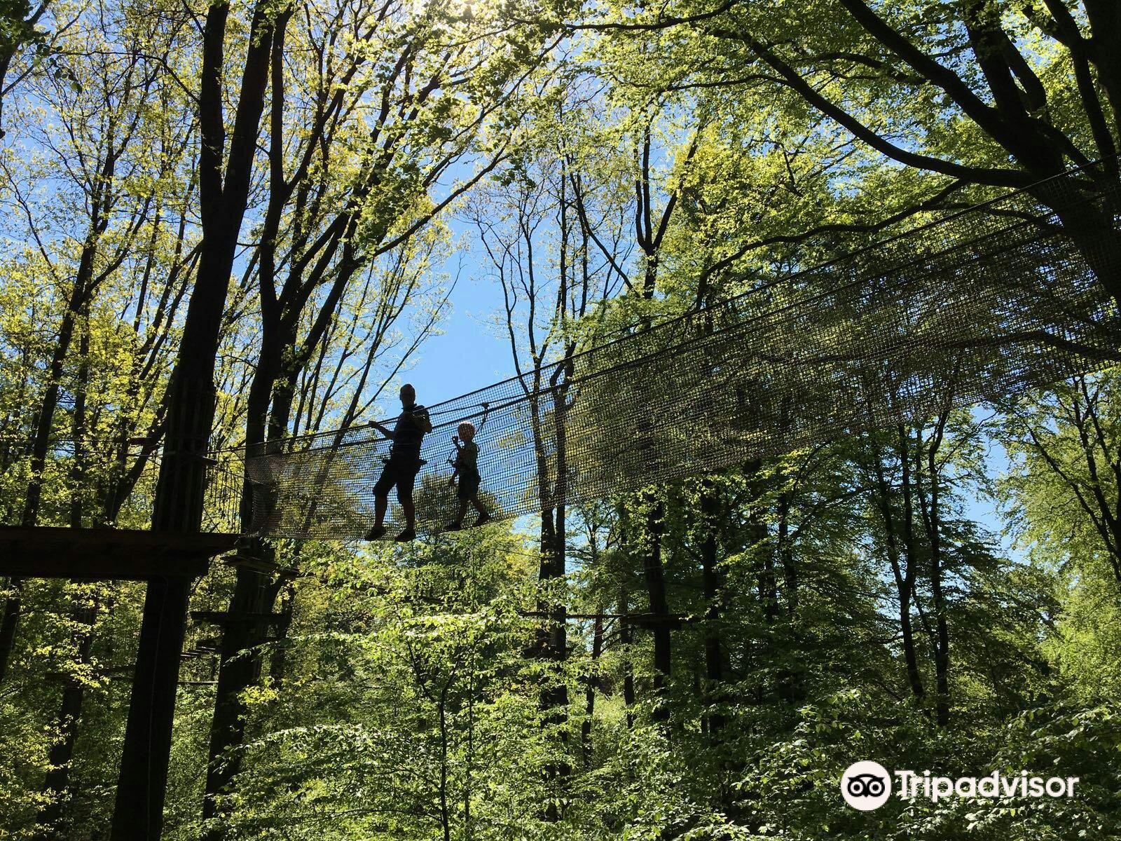 Waldkletterpark Velbert-Langenberg – Bild 4