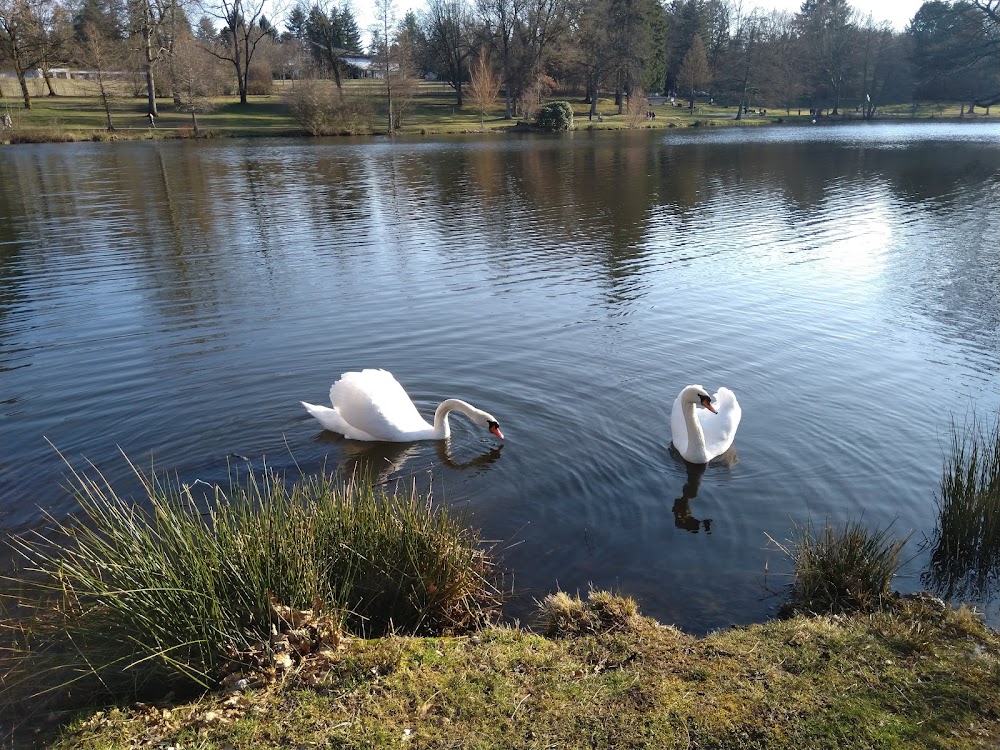 Erlebnisweg Strietberg Schiffweiler – Bild 6