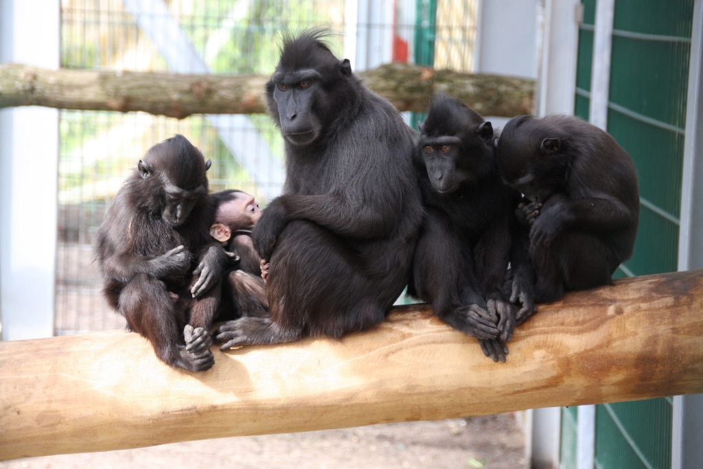 Tierpark Gettorf – Bild 3