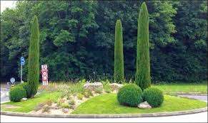 Ville de Gland Parc – Bild 2