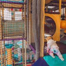 Smart Moves Play Place – Bild 2