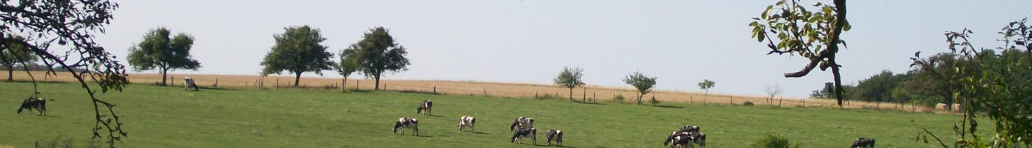 Marienhof Gerlfangen - Karin & Stefan Zenner – Bild 6