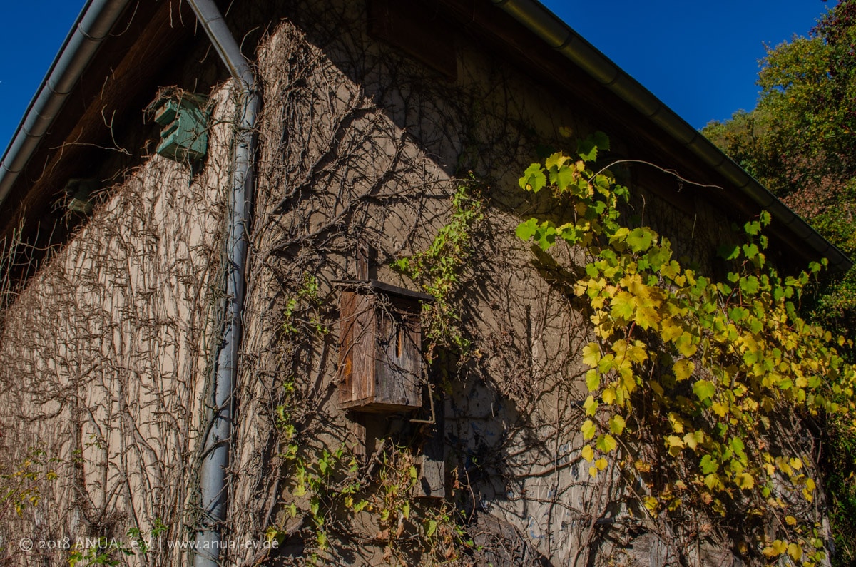 Haus der Natur am Pfaffenbach – Bild 3