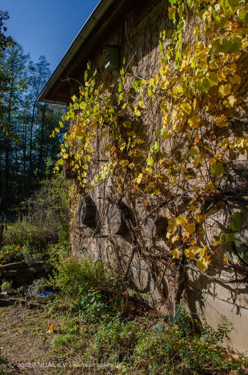 Haus der Natur am Pfaffenbach – Bild 4