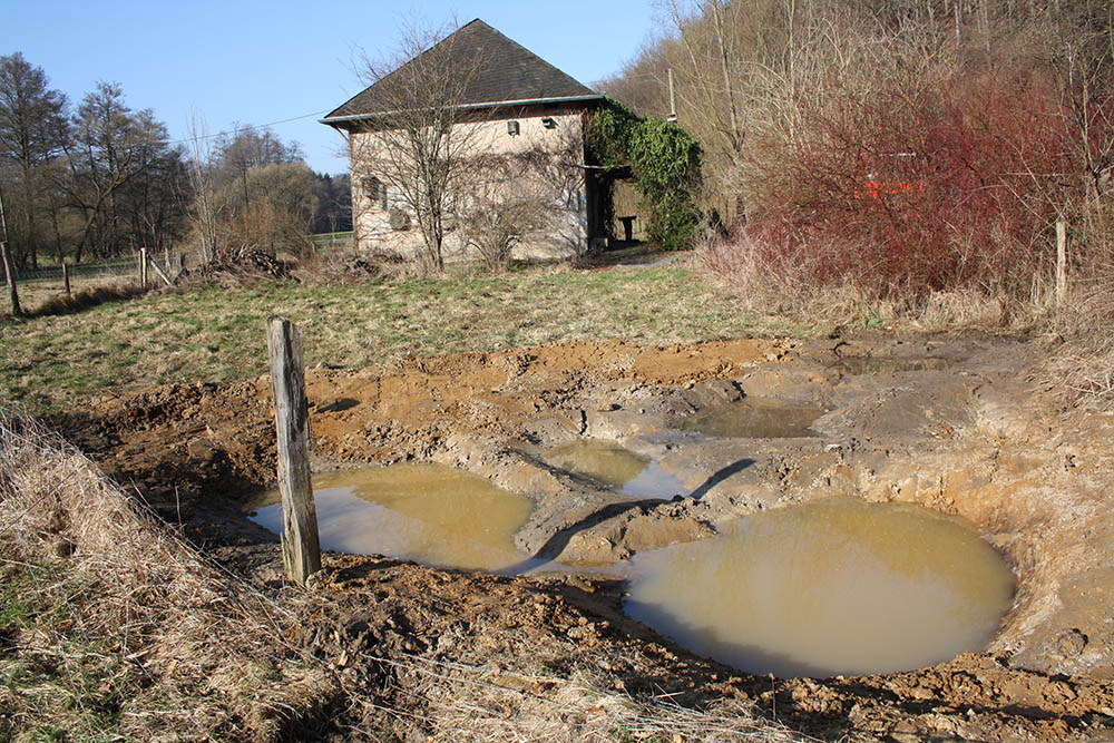 Haus der Natur am Pfaffenbach – Bild 6