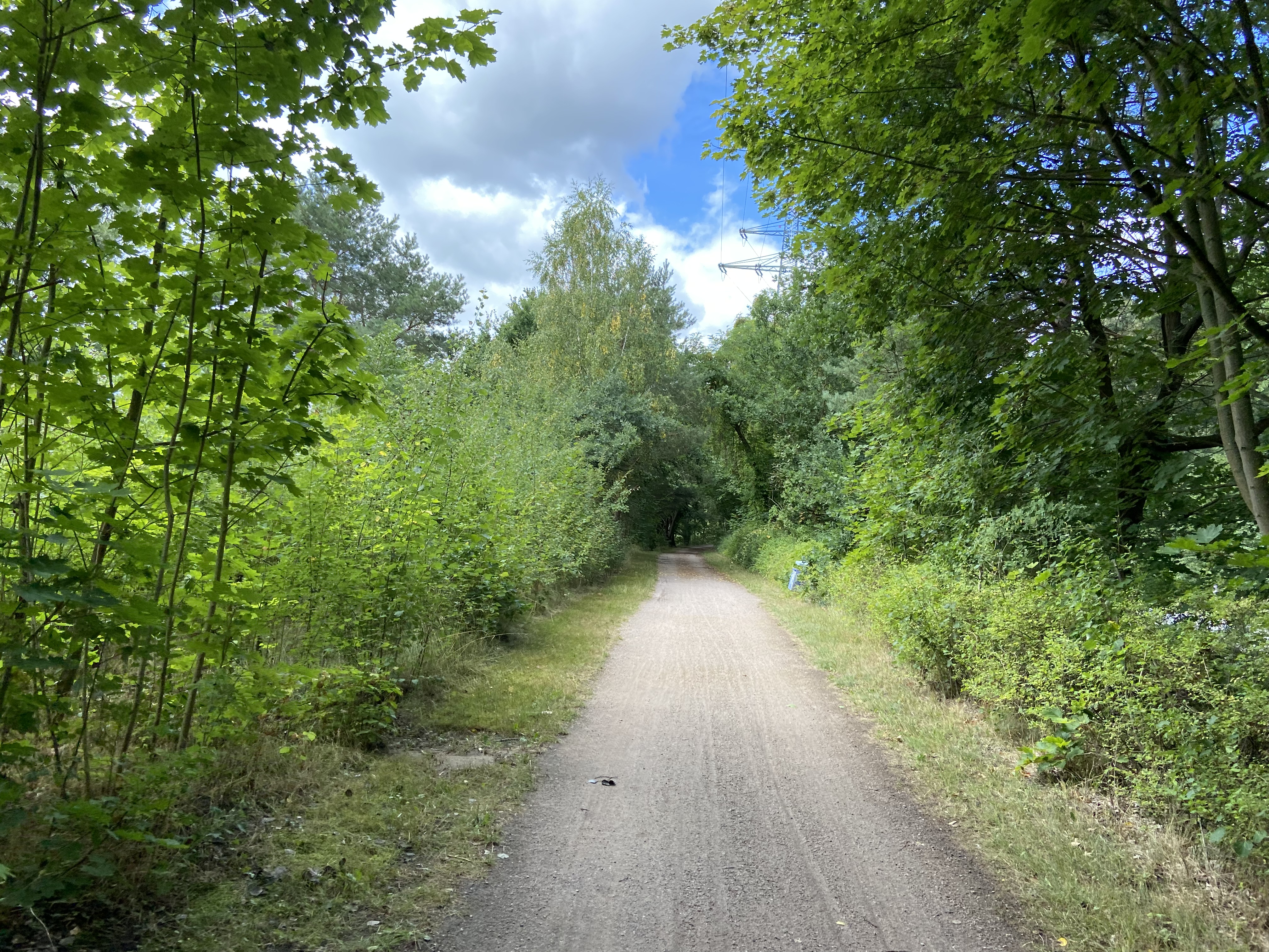 Grillplatz Tesperhude – Bild 3