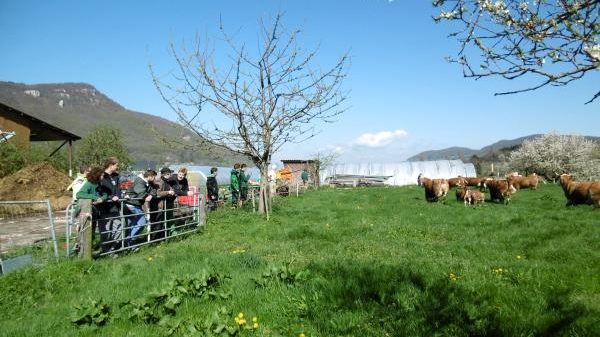 Biolandhof Bleiche, BruderhausDiakonie – Bild 3