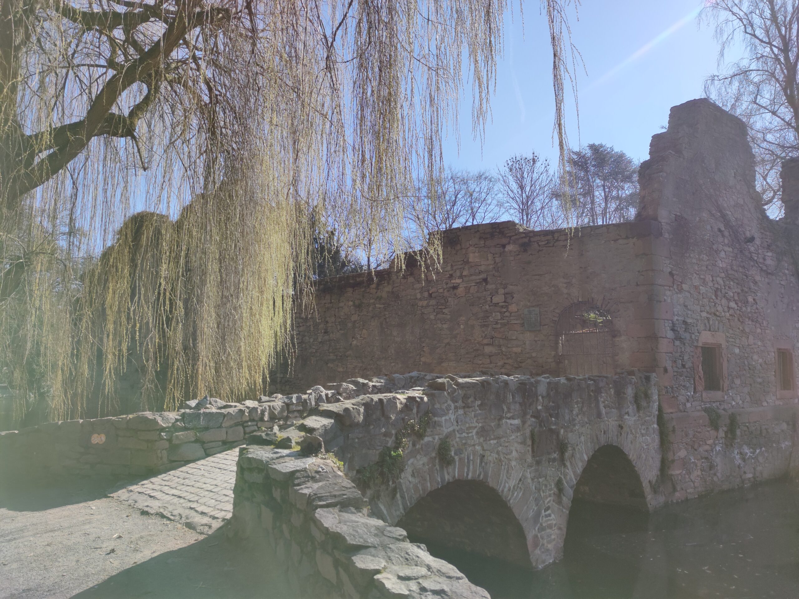 Schöntal – Bild 2