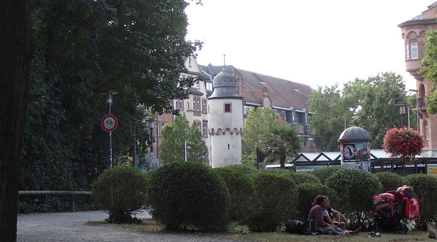 Schöntal – Bild 5