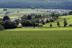 Backeshof – Bild 5