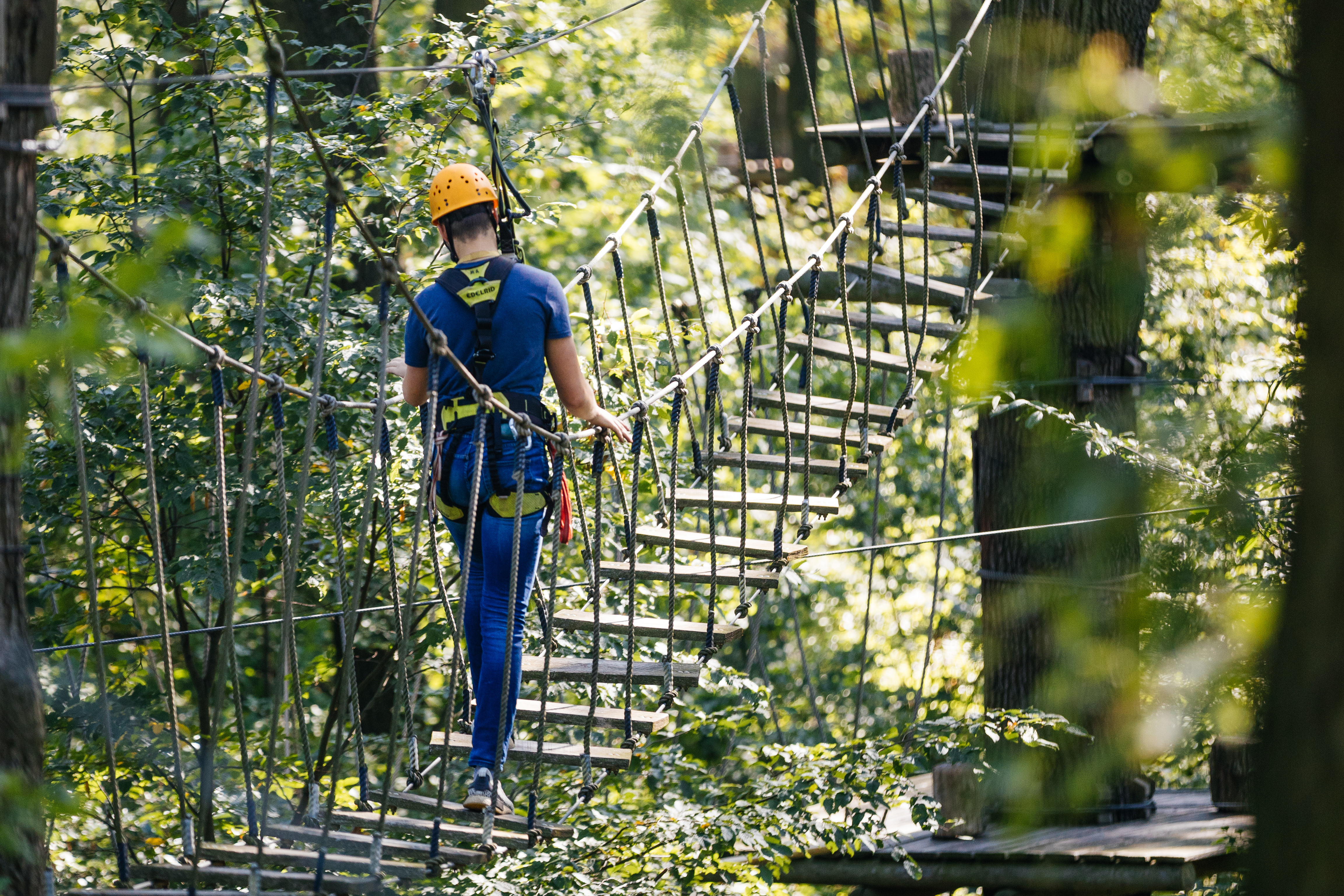Kletterwald Leipzig – Bild 2