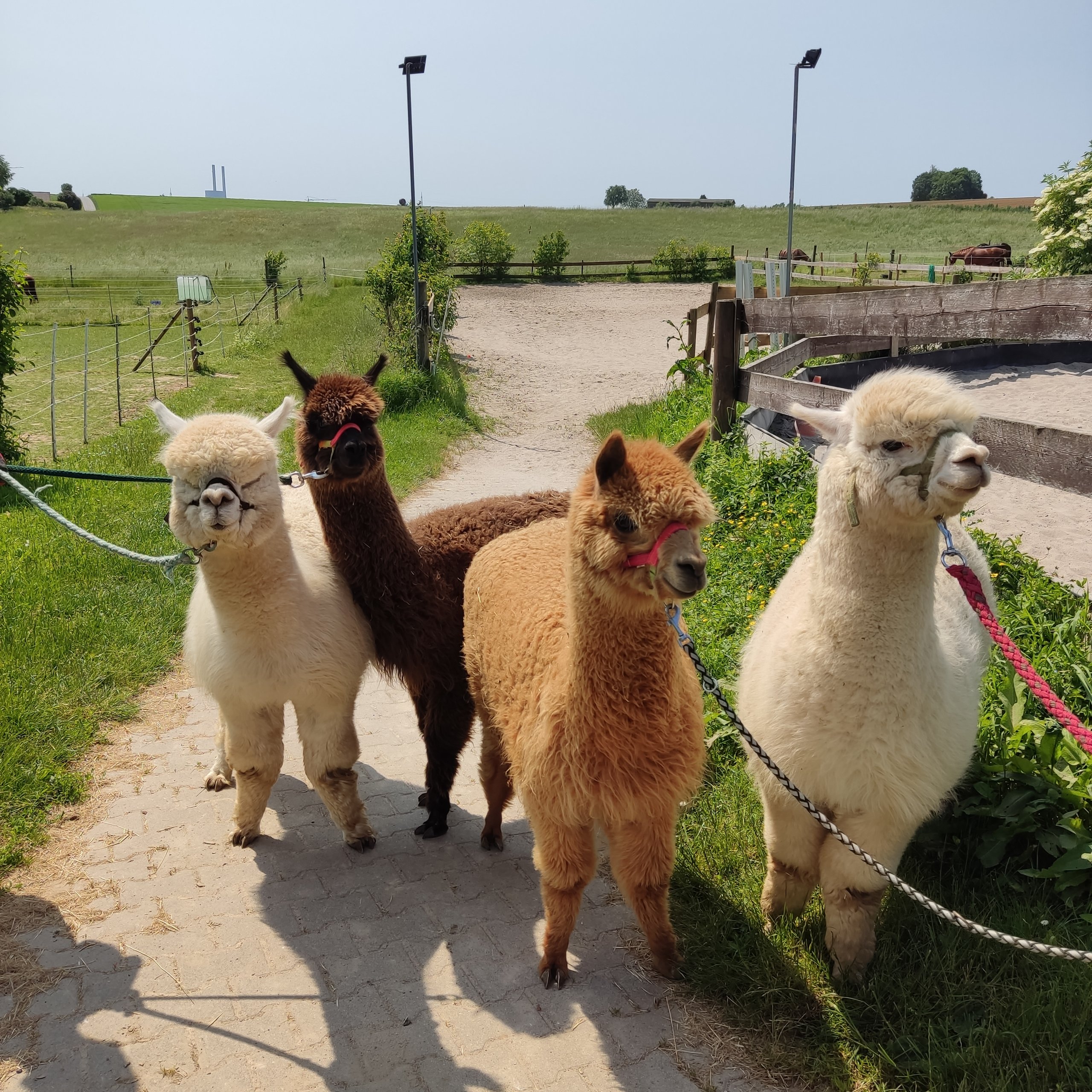 Wannenwingert Kids GbR – Bild 2