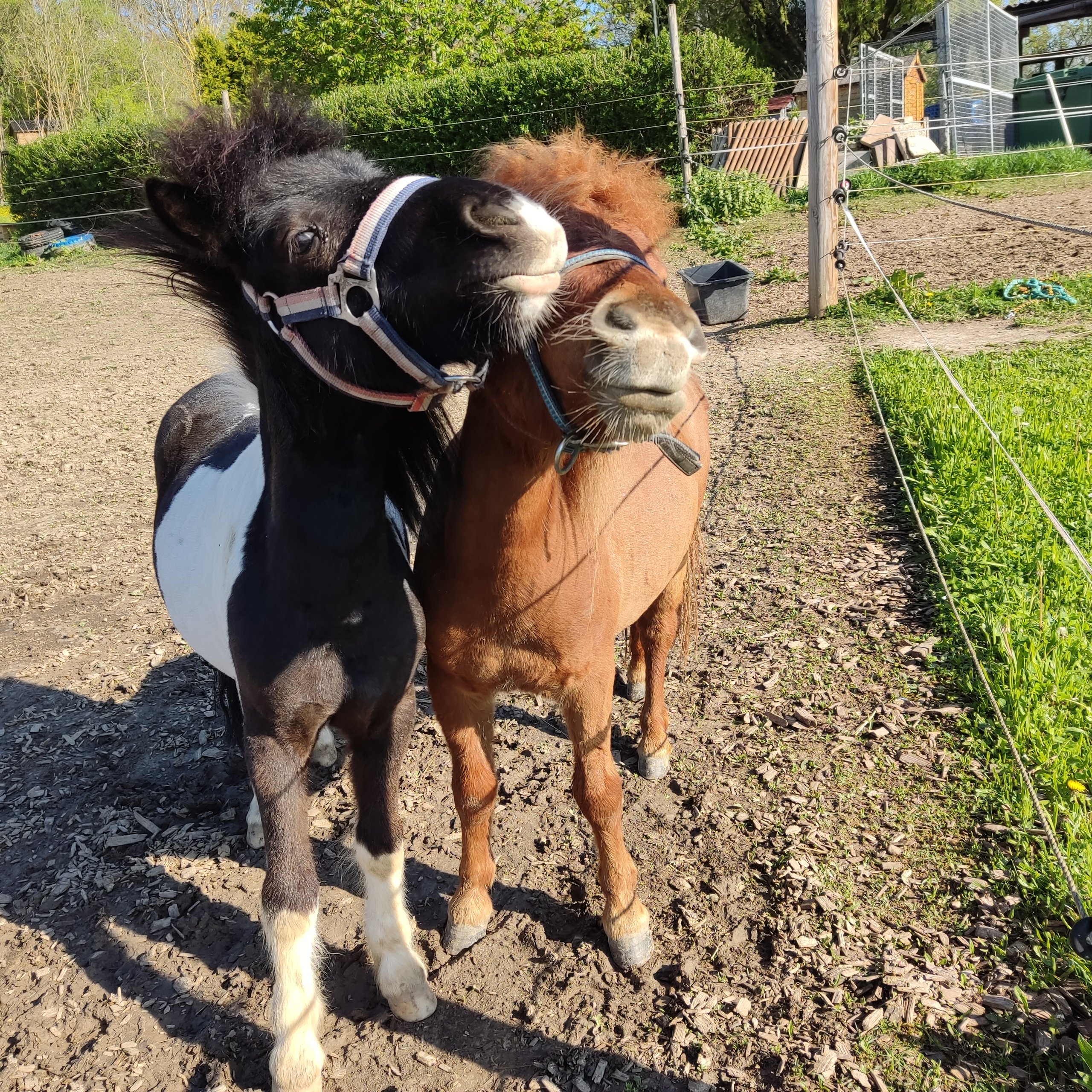 Wannenwingert Kids GbR – Bild 5