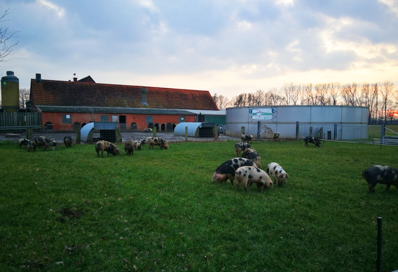 Hof Fiefhaus – Bild 4