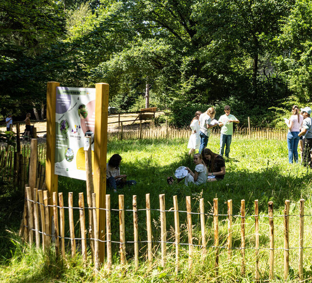 Tier- und Pflanzenpark Fasanerie Wiesbaden – Bild 5