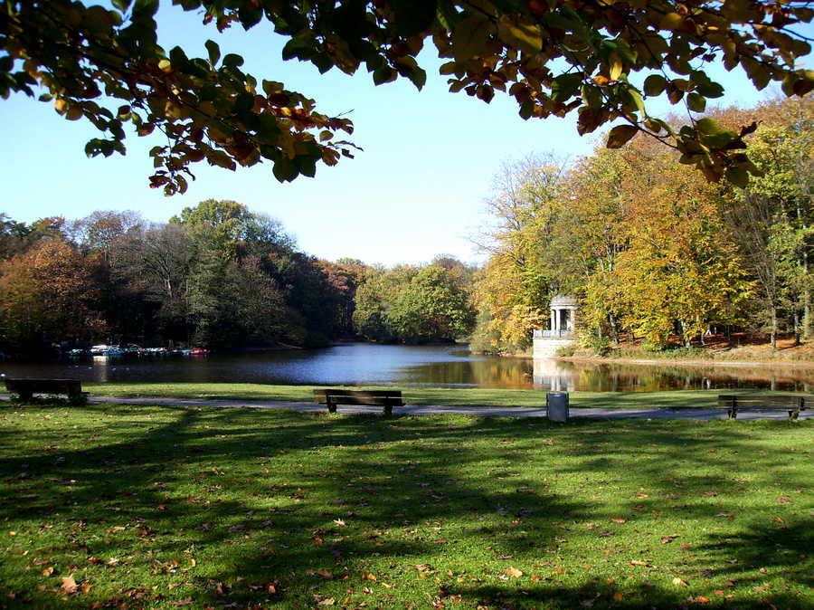 Stadtwald – Bild 5