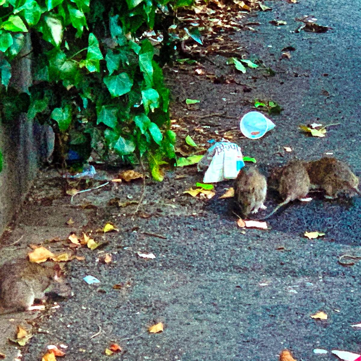 Freizeitanlage Hölterhof – Bild 2