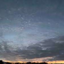 Oates Park – Bild 3