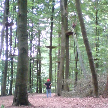 Hochseilgarten Lütjensee – Bild 2