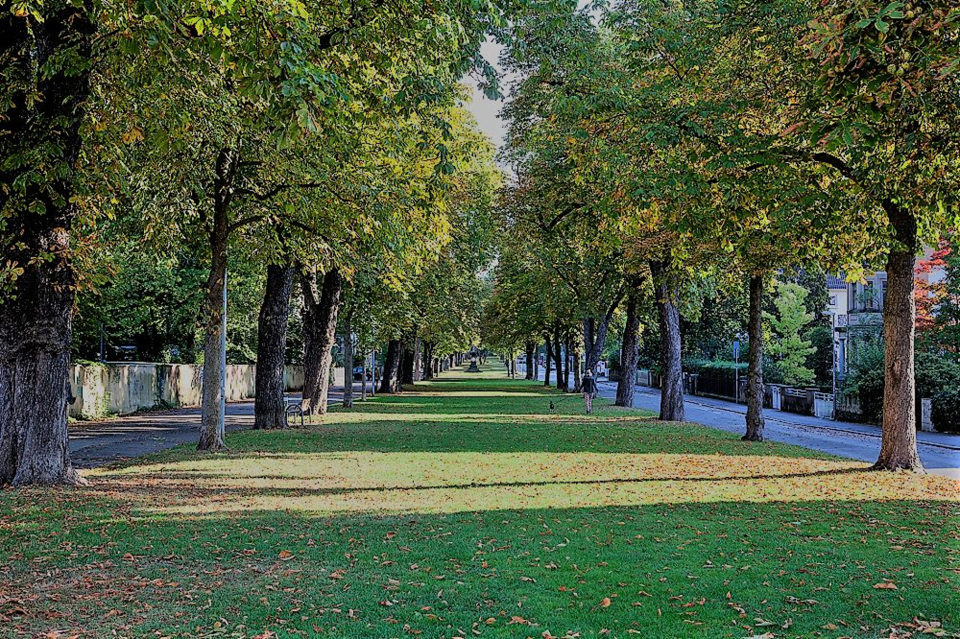 Stadtgarten – Bild 2