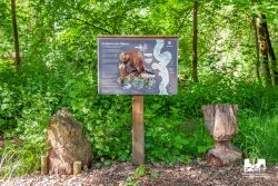 Naturerlebnispfad Wertachauen – Bild 5